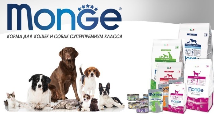 С 01 февраля 2022 года произойдет изменение цен на корма бренда Monge