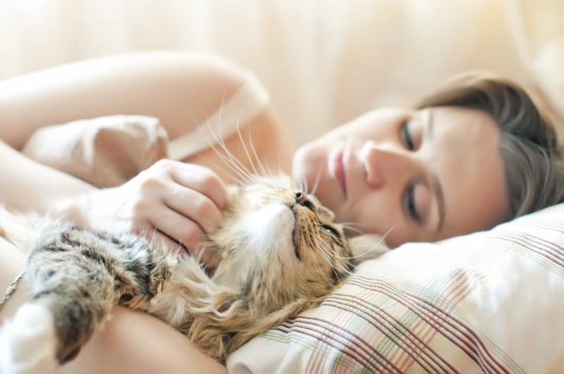 Почему кошка спит с хозяином?
