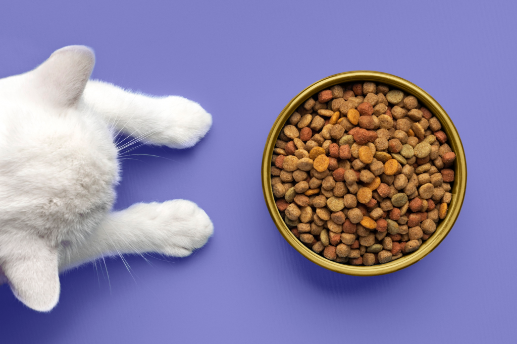 сухой корм для кошек: вред и польза