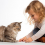 Домашний кот и дети: как установить правильные отношения и обеспечить безопасность