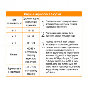 Норма кормления в сутки